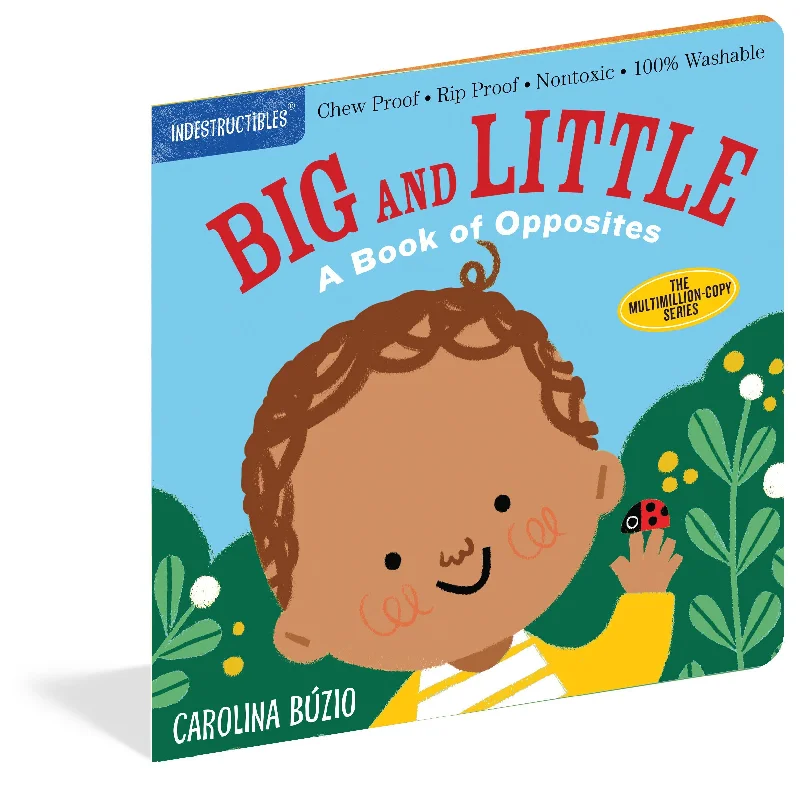 Entertaining children's chapter booksEntertaining children's chapter booksBig and Little Indestructible Book