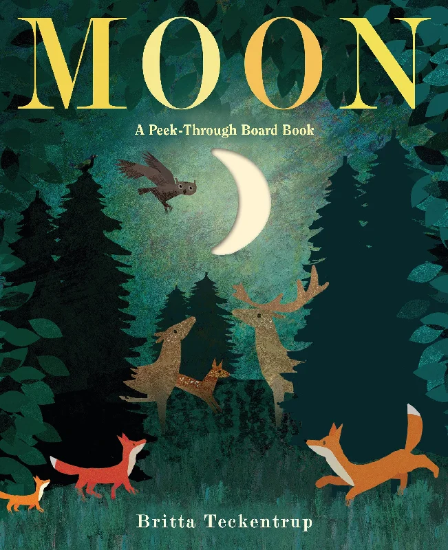 Action-packed adventure books for kidsAction-packed adventure books for kidsMoon: A Peek-Through Board Book