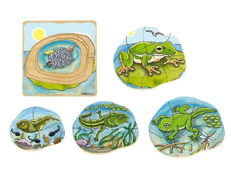 eco-friendly and safe wooden toys                   Beleduc Layer Puzzle - Life Cycle of a Frog