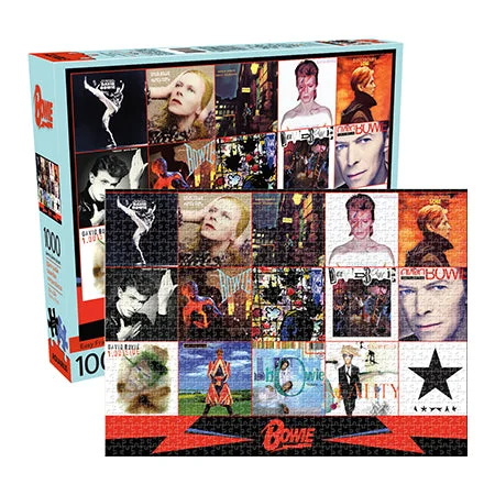 Time-consuming puzzles Aquarius 1000pc Puzzle | David Bowie